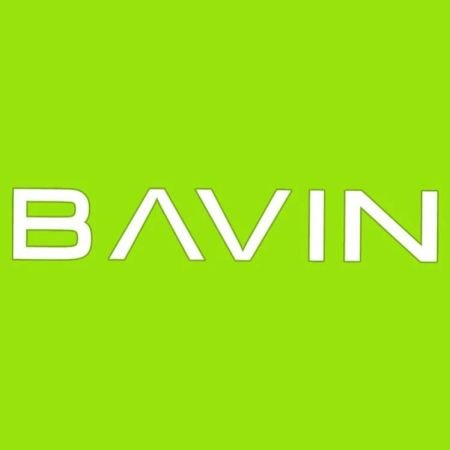 BAVIN